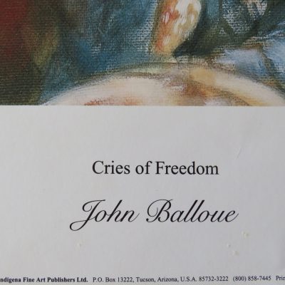 Indianen poster ‘Cries of freedom’ van John Balloue